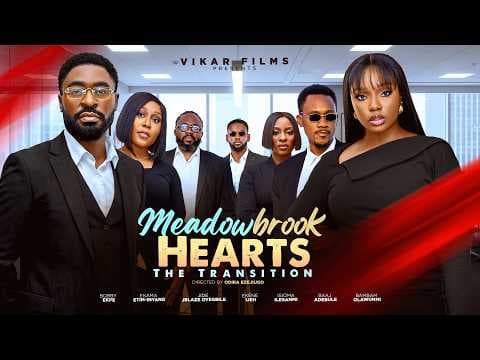 Meadowbrook Hearts: The Transition – Their Love Was Tested