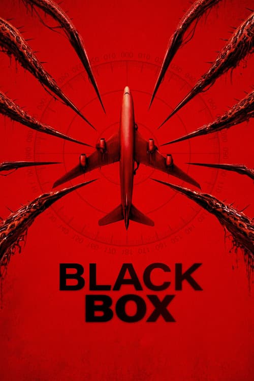 Black Box (Flight 298) (2026)