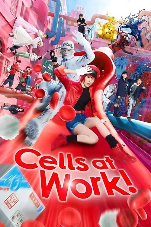 Cells At Work 2024 Download
