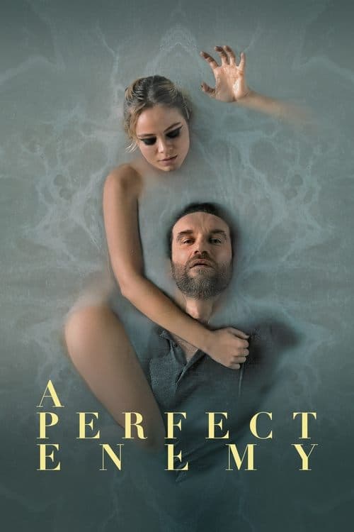 A Perfect Enemy 2021 Download