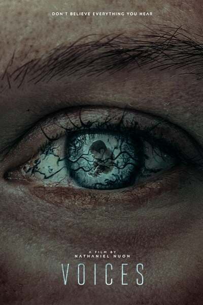 Voices 2020 Download